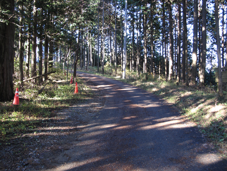 20151127hike (125)